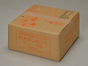 炊出し ドライカレー